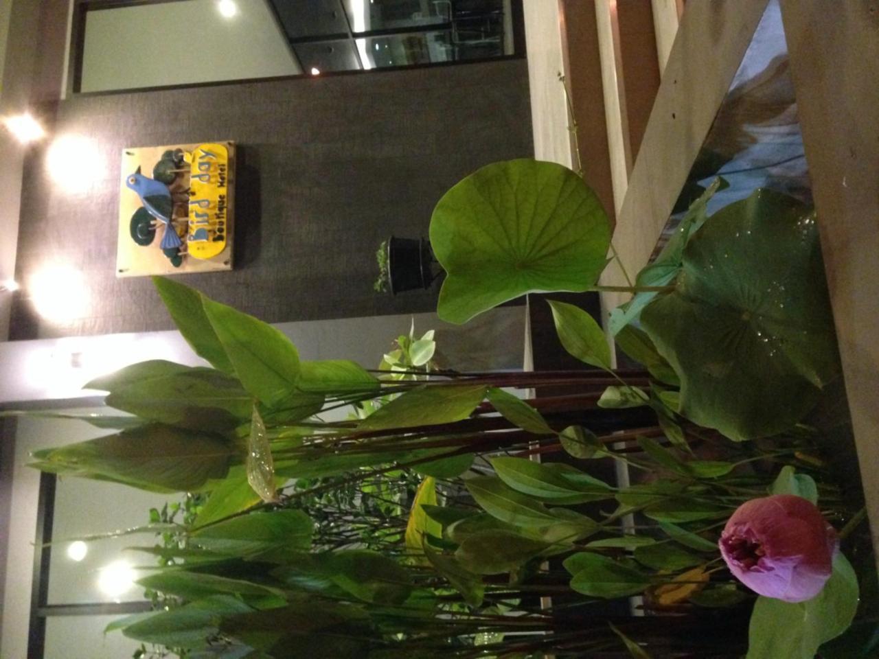 Bird Day Boutique Hotel Mukdahan Exterior photo